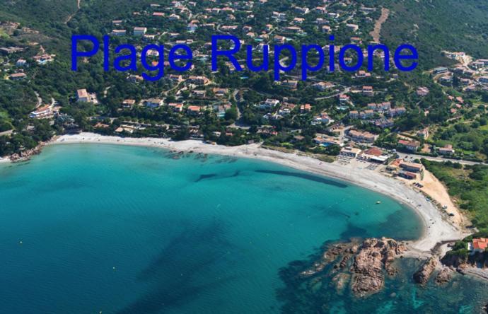 Vue mer panoramique plage 30m. Porticcio Porticcio  Extérieur photo