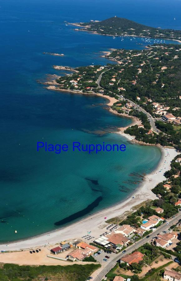 Vue mer panoramique plage 30m. Porticcio Porticcio  Extérieur photo